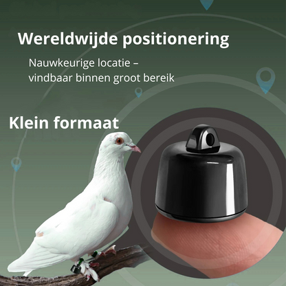 Mini Bluetooth pet tracker for cats and small dogs