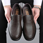 Brown Perforated