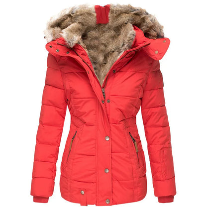 Women's Winter Jacket – Chic Versatile Padded Jacket