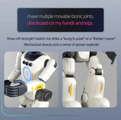 Interactive Humanoid Robot – Gesture & Remote Control Toy Robot